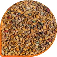 ЗОЛОТАЯ ОСЕНЬ